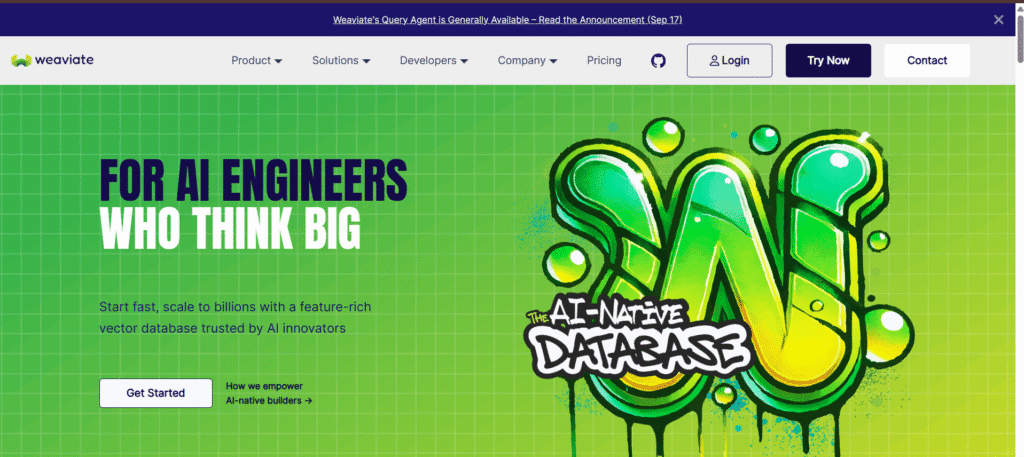 Best Vector Databases 2025 